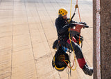 Petzl ASAP’SORBER AXESS