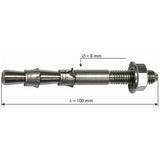 Raumer Hang Fix M8 Bolt (SS)