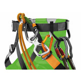 Petzl Canyon Club Harness